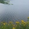 madisonbrook942